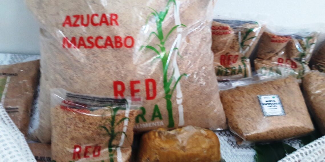 Productores cañeros inician obras para mejorar sus salas de elaboración de azúcar rubio