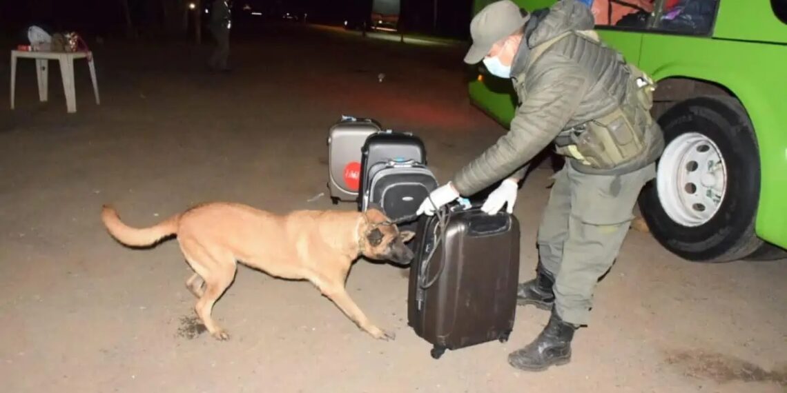 Tres mujeres fueron detenidas al detectarse valijas con marihuana