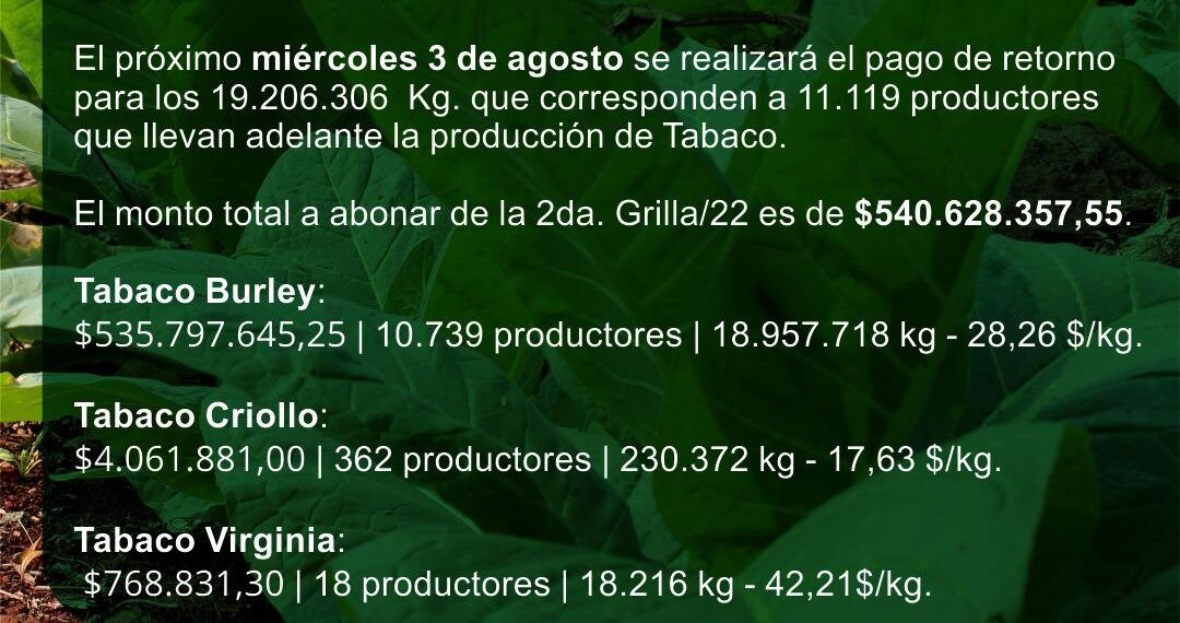 Tabaco: La próxima semana pagarán más de 540 millones