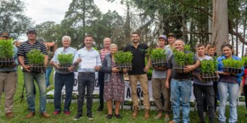 Entregaron plantines de yerba a productores de la zona sur