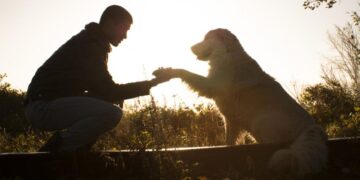 Día Mundial del Perro: ¿por qué se celebra cada 21 de julio?
