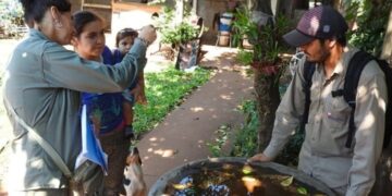En vacaciones, recomiendan seguir con las medidas preventivas para evitar los  criaderos de mosquitos