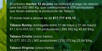 Anuncian pago a tabacaleros por más de 17 millones de pesos