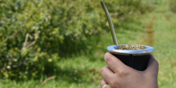 El consumo de yerba mate totalizó 154, 5 millones de kilos en junio