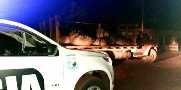 La Policía recuperó una carga de hojas de yerba mate robada: hay un detenido