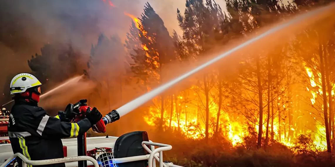 Ola de calor: Europa Occidental espera temperaturas récord para esta semana