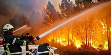 Ola de calor: Europa Occidental espera temperaturas récord para esta semana