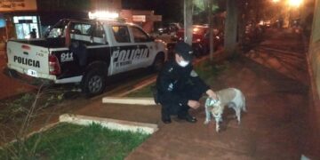 Detuvieron a un hombre acusado de maltratar a su perro en Alem