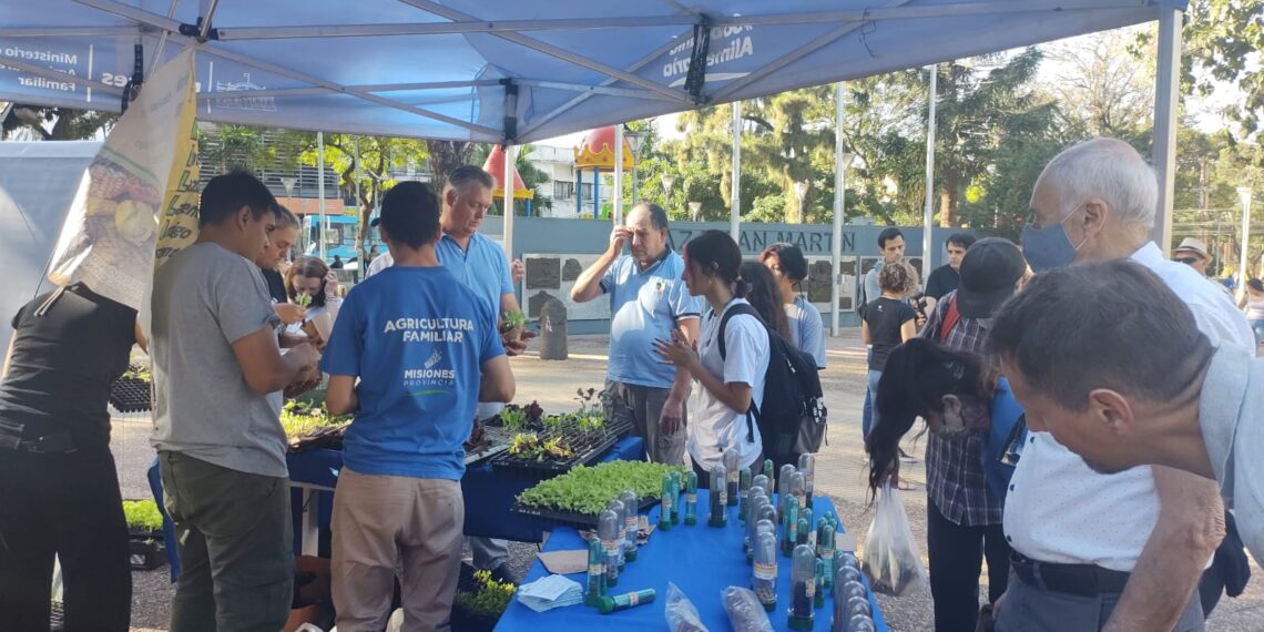 En el Día Provincial de las Semillas Nativas y Criollas resaltan la importancia de resguardar ese recurso