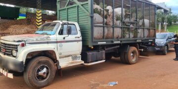 Frustraron el robo de más de 3 mil kilos de yerba mate en Villa Bonita