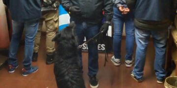 Policías y el perro “Black” capturaron a dos hombres con cocaína que pretendían viajar a Buenos Aires