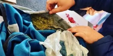 Jovencita tras las rejas por intentar ingresar a la comisaría marihuana oculta en un buzo