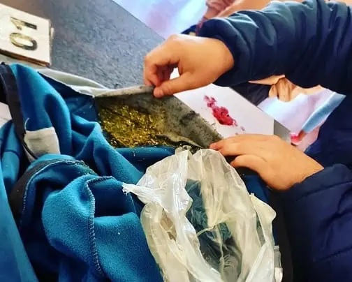 Jovencita tras las rejas por intentar ingresar a la comisaría marihuana oculta en un buzo