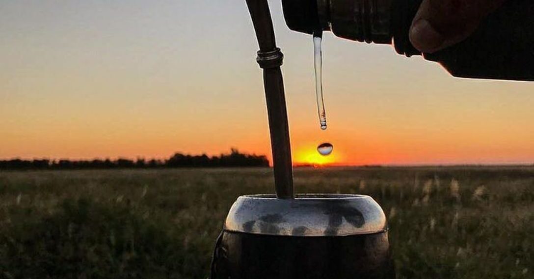 El consumo interno de yerba mate superó los 163 millones de kilos entre enero y julio
