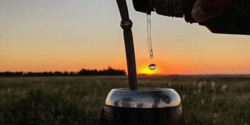 El consumo interno de yerba mate superó los 163 millones de kilos entre enero y julio