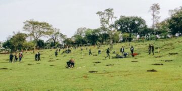 Posadas Sustentable: cinco mil árboles se encuentran plantados en distintos espacios verdes