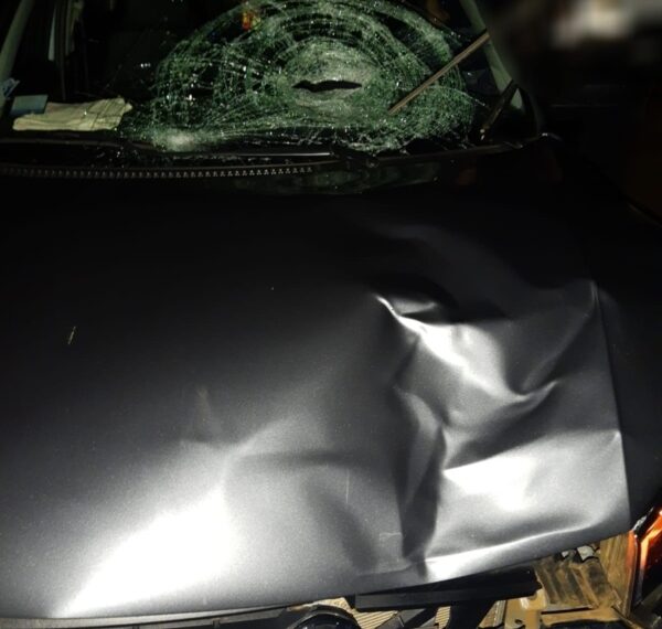 Falleció a ser atropellado por un automovilista