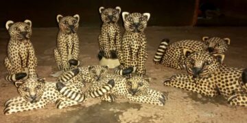 Misiones presente en la Feria Nacional Berazategui Artesanías