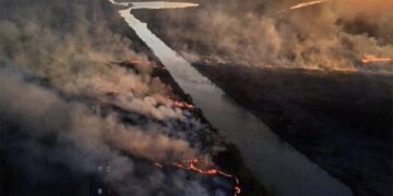 Detuvieron a tres personas acusadas de provocar incendios en el Delta