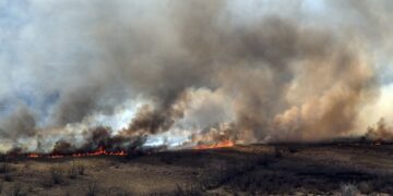 Restaurar los humedales del río Paraná tras los incendios llevará más de 300 años, según científicos