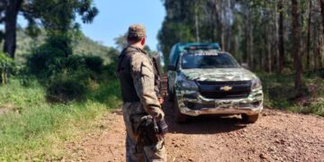 Operativos rurales: recuperaron rollos de madera nativa y arrestaron a un cuatrero