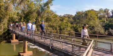 Las rutas de Misiones, entre selva exuberante, cursos de agua y animales salvajes