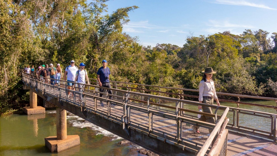 Las rutas de Misiones, entre selva exuberante, cursos de agua y animales salvajes