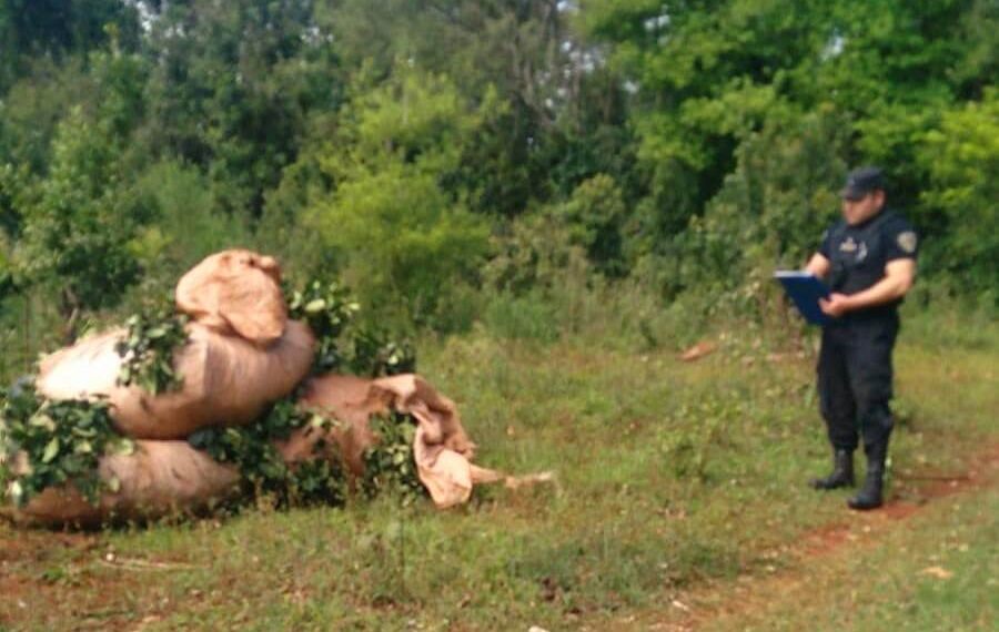 Evitaron el robo de yerba mate en Oberá a través de patrullajes rurales