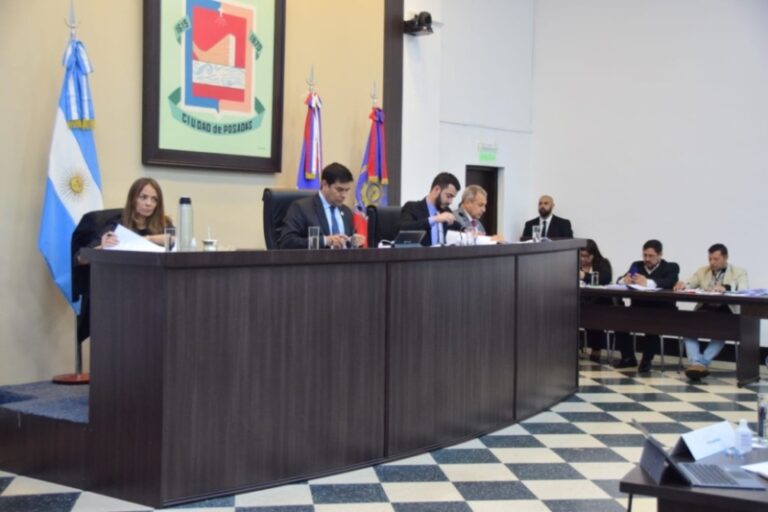Concejales posadeños aprobaron la creación de un Polo Científico y Tecnológico