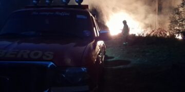 Incendió cinco hectáreas de pino en Campo Grande y fue detenido
