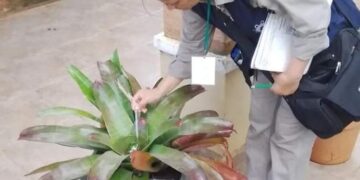 LIRAa: En tres días se visitaron más de 4 mil casas
