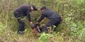 Siete motocicletas robadas de un corralón en Wanda fueron recuperadas