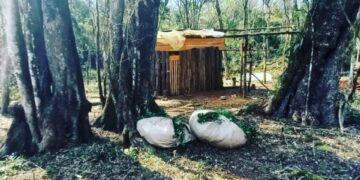Operativo rural en San Pedro: hay dos detenido y dos armas de fuego secuestradas