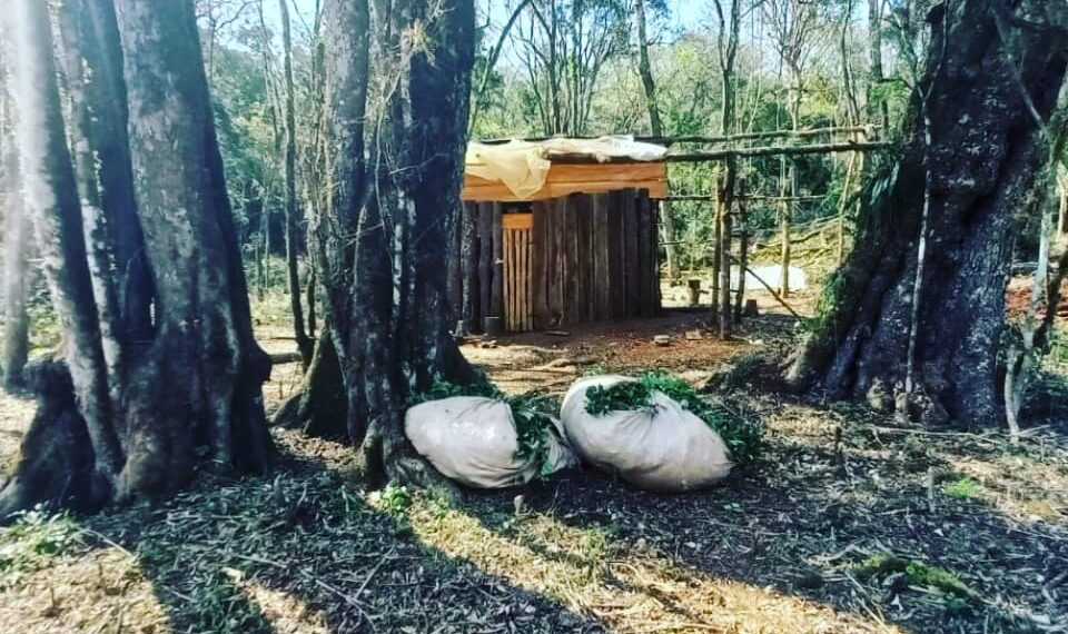 Operativo rural en San Pedro: hay dos detenido y dos armas de fuego secuestradas