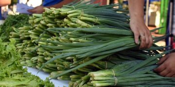 Ferias Francas: ¿dónde comprar productos frescos y saludables?