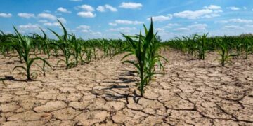 Cuáles son las zonas del mundo que serán inhabitables por las olas de calor