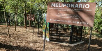 Pulmón verde: El Jardín Botánico refuerza su trabajo de conservación de especies y cuidado del medioambiente