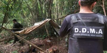 Desmantelaron campamentos de cazadores y detuvieron a siete personas en operativos rurales