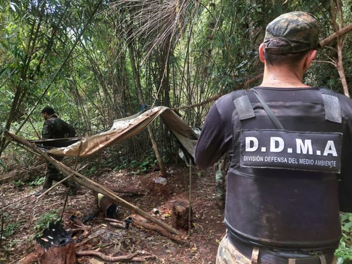 Desmantelaron campamentos de cazadores y detuvieron a siete personas en operativos rurales