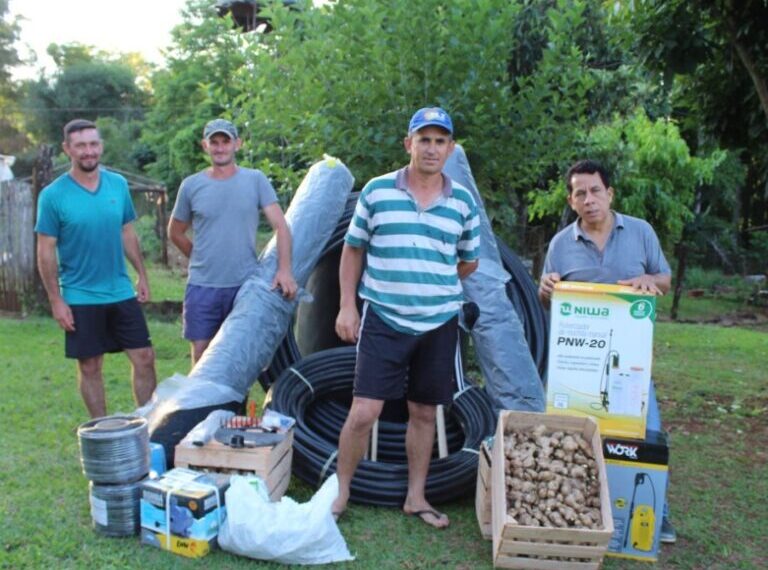 Se amplía la producción de jengibre en Misiones