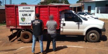Detuvieron a un camionero que fue filmado cuando atropelló y mató a un perro