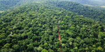 Proponen incorporar cuatro nuevas reservas al sistema de áreas naturales protegidas