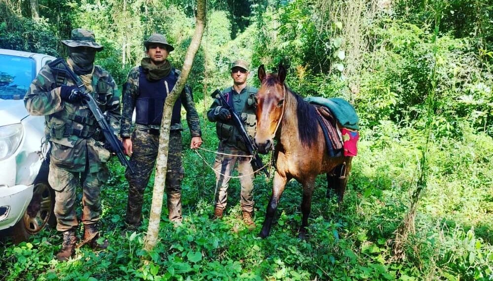 Arrestaron a tres cazadores furtivos en la reserva Yabotí y secuestraron armas de fuego