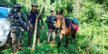 Arrestaron a tres cazadores furtivos en la reserva Yabotí y secuestraron armas de fuego