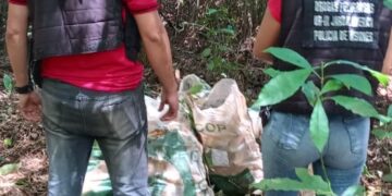 Nueva incautación de droga por parte de la Policía de Misiones, esta vez en Colonia Polana