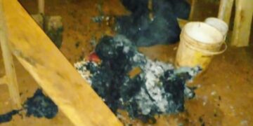 Policías salvaron a una familia de un incendio