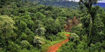 Presentaron documento sobre situación de la selva