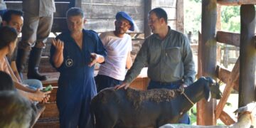 Fortalecen la producción ovino caprina en la provincia