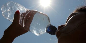 Calor en Misiones: alertan por altas temperaturas y peligro de incendio en la provincia