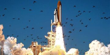 Hallaron restos del transbordador Challenger en la costa este de Florida
